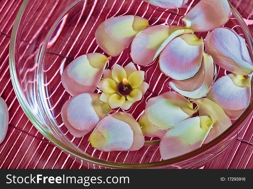Close up view of nice frangipani  petals on water surface. Close up view of nice frangipani  petals on water surface