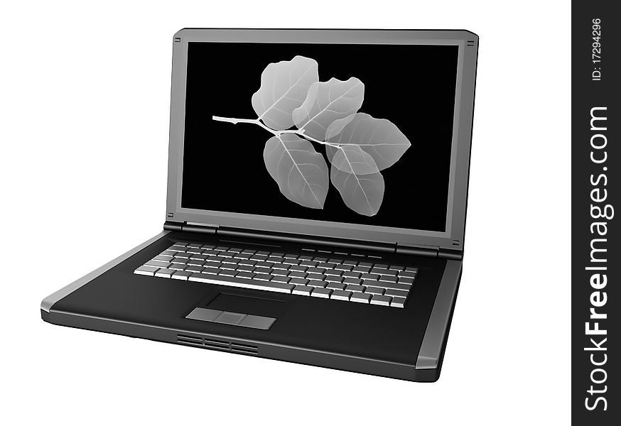 Black And Gray Laptop Isolated