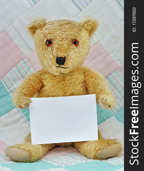 Teddy Bear with Blank card for own message. Teddy Bear with Blank card for own message