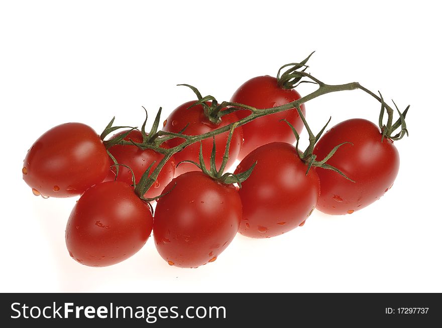 Wet cherry tomatos on the vine isolated on white