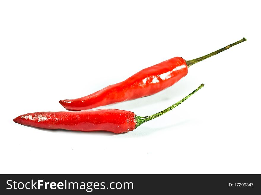 Red hot chili on white. Red hot chili on white