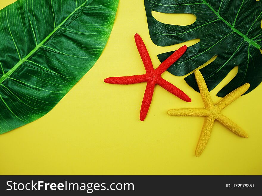 Top view of Summer Background with starfish and green leave on yellow background
