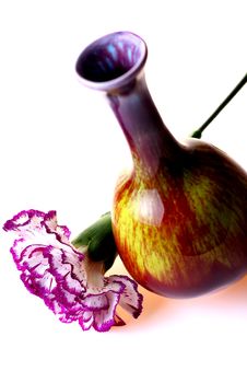 Purple Carnation Stock Photo Purple Carnation Stock Photo