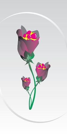 Vector, Valentine, Decoration, Ornament, Petal, Love, Illustrati Stock Photography Vector, Valentine, Decoration, Ornament, Petal, Love, Illustrati Stock Photography