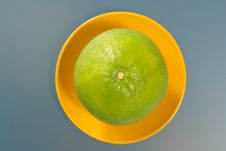 Picture Of Melon Royalty Free Stock Photos Picture Of Melon Royalty Free Stock Photos