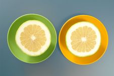 Picture Of Melon Royalty Free Stock Images Picture Of Melon Royalty Free Stock Images