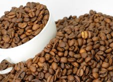 Coffee Beans In A Cup Royalty Free Stock Image Coffee Beans In A Cup Royalty Free Stock Image
