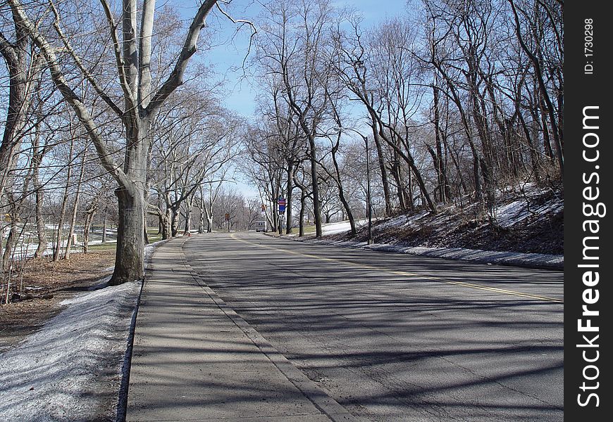 Empty road in winter with leafless trees. Empty road in winter with leafless trees