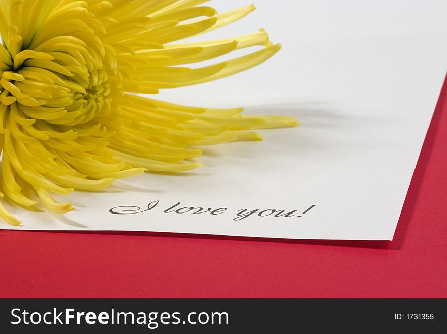 Love note with a yellow flower. Love note with a yellow flower