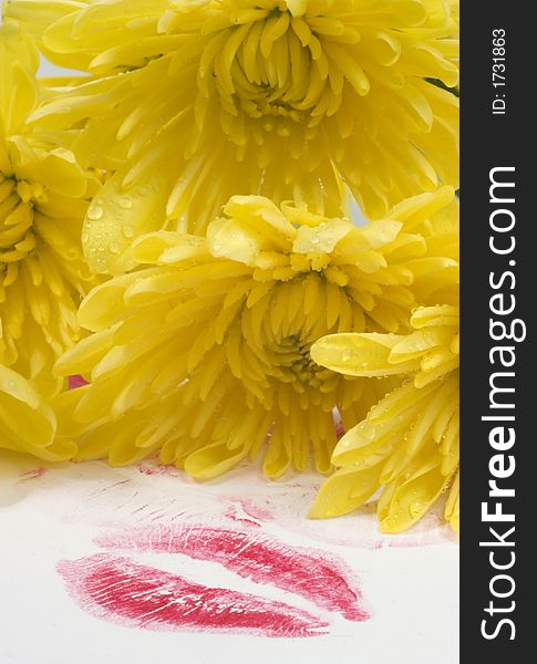 Sympathy message with yellow flowers and a kiss print