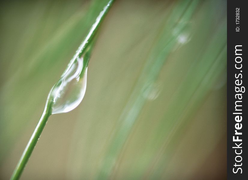 Detail of drop on green background