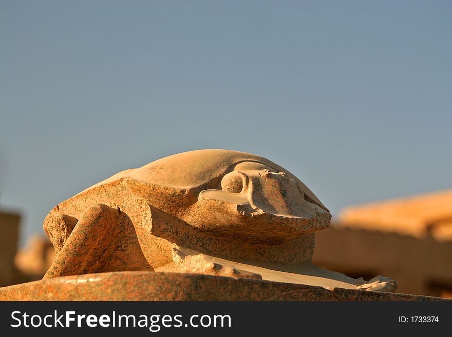 Big stony scarab, bringing luck in Karnak. Big stony scarab, bringing luck in Karnak