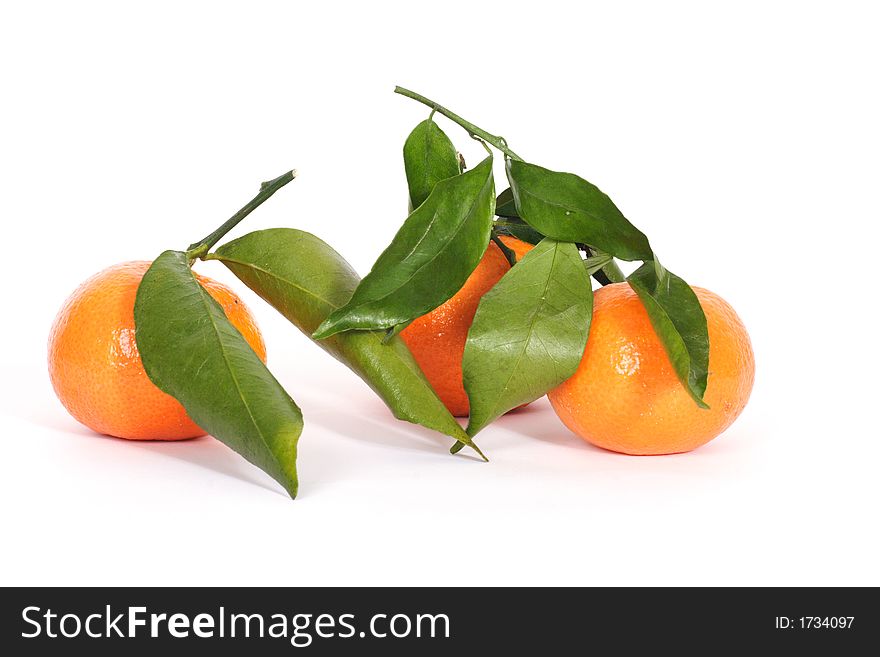 Three orange mandarins with leaves. Three orange mandarins with leaves