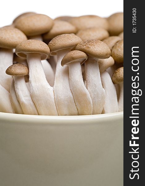 Close-up of a bunch of mushrooms in a coffee mug on white background. Close-up of a bunch of mushrooms in a coffee mug on white background.