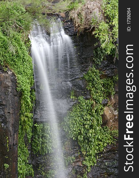 Water cascades down rocks with lush green vegetation around. Water cascades down rocks with lush green vegetation around