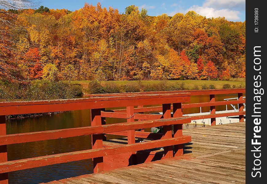 Trees changing colors in a park in New Jersey