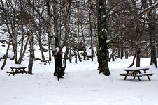 Natural Park Royalty Free Stock Photography Natural Park Royalty Free Stock Photography