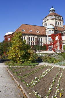 Botanical Garden Royalty Free Stock Photography Botanical Garden Royalty Free Stock Photography