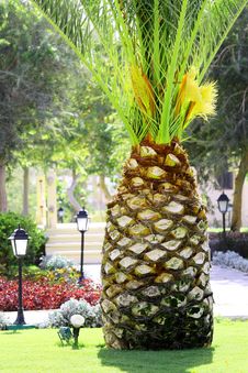 Palm Tree Like Big Pineapple Stock Photo