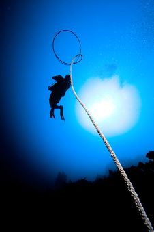 Diver S Silhouette Royalty Free Stock Images