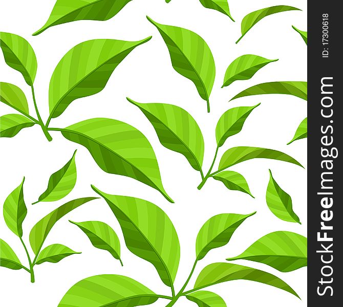 Seamless pattern with fresh green leaves on white. Seamless pattern with fresh green leaves on white