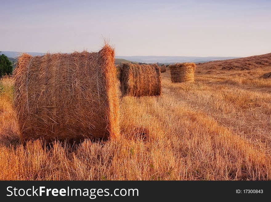 Golden Hay Bales In The Countryside