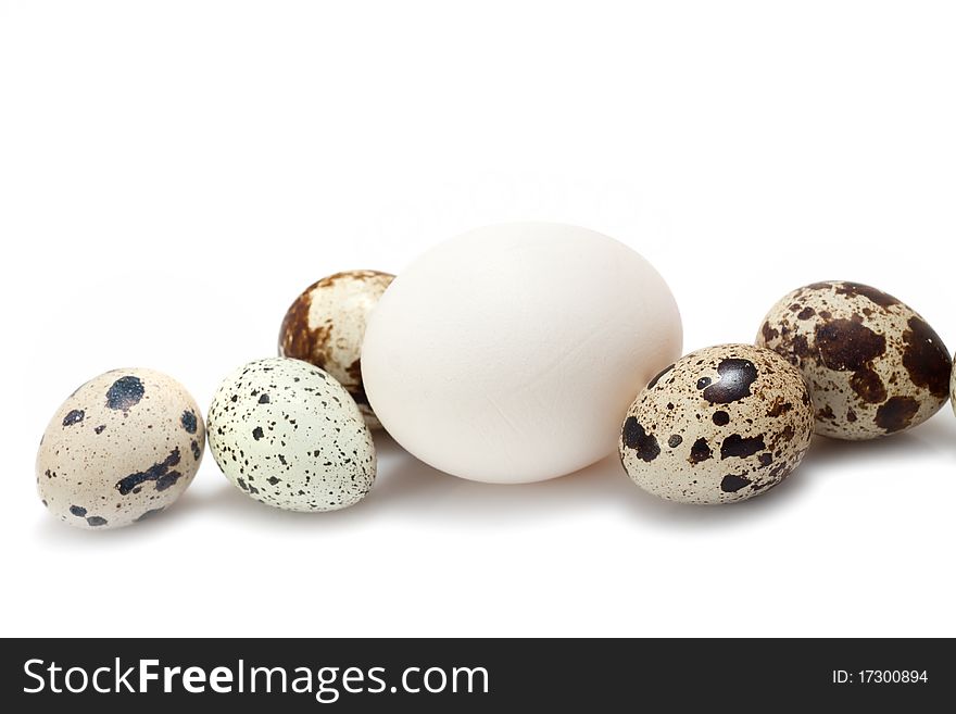 Comparison of chicken and quail eggs. Isolated on white.