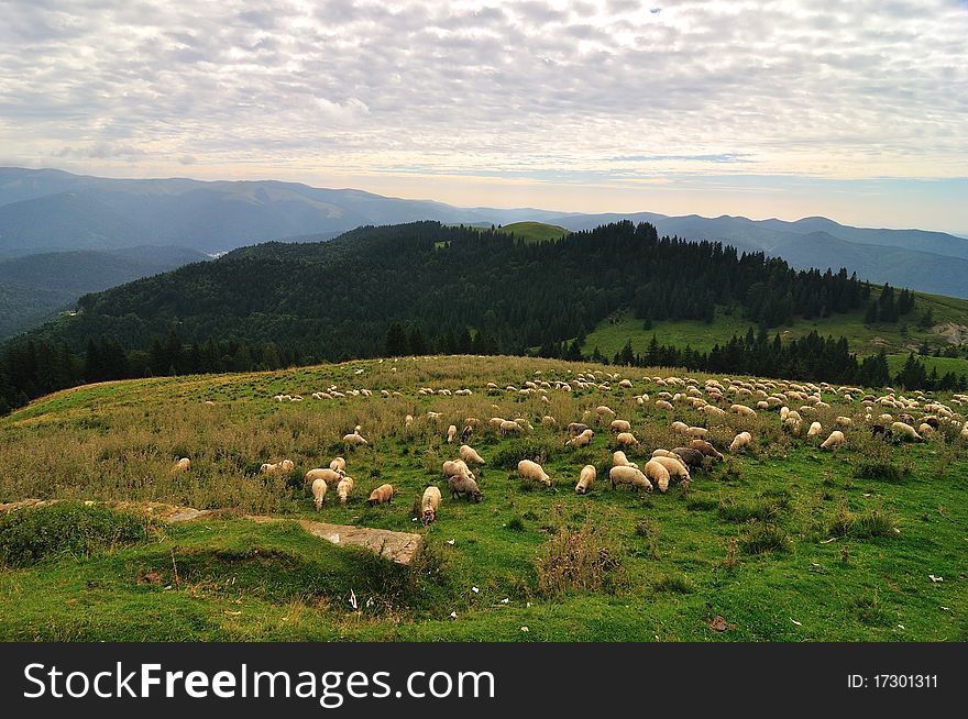 Mountains landscape in Bucegi mountains, Romania