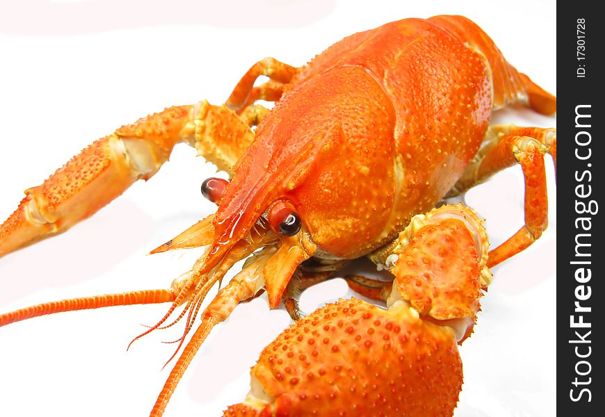 Red Cooked River Lobster