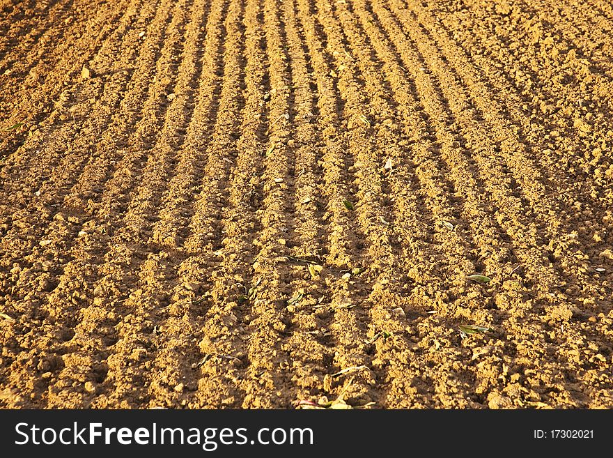 Background of newly plowed field
