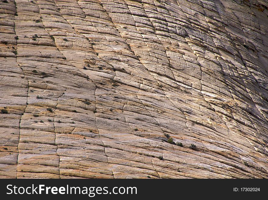 Close-up of the amazing 'checkers' or 'biscuits' of Checkerboard Mesa in Zion National Park. They are formed by the weathering of horizontal bedding and vertical cracks. Close-up of the amazing 'checkers' or 'biscuits' of Checkerboard Mesa in Zion National Park. They are formed by the weathering of horizontal bedding and vertical cracks.