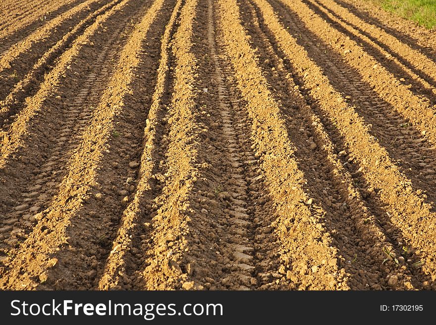 Background of newly plowed field