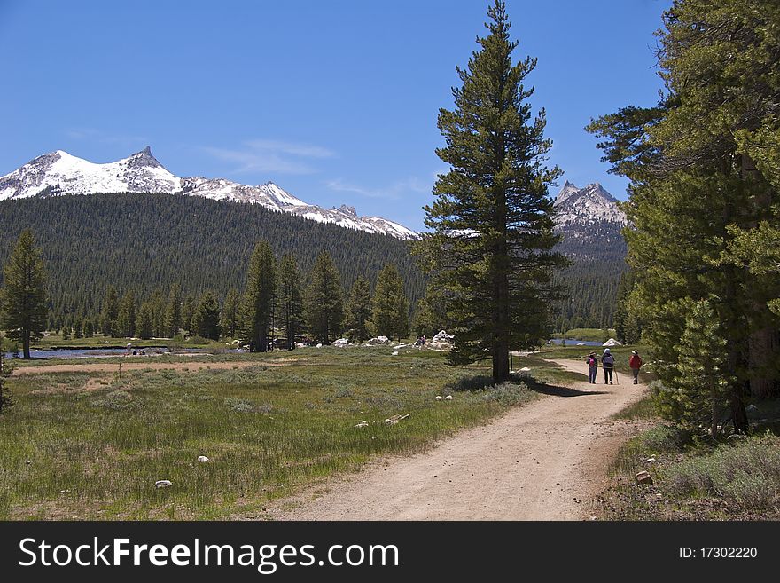 Hikers on Soda Springs Trail, Yosemite National Park, CA. Hikers on Soda Springs Trail, Yosemite National Park, CA