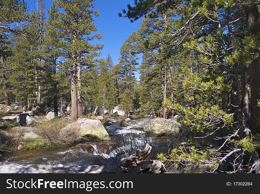 River near Tuolomne Meadows, Yosemite National Park, CA. River near Tuolomne Meadows, Yosemite National Park, CA