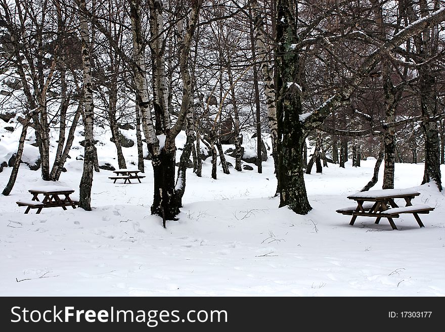 Picturesque winter scene of Snow on wooden benches at the park. Picturesque winter scene of Snow on wooden benches at the park