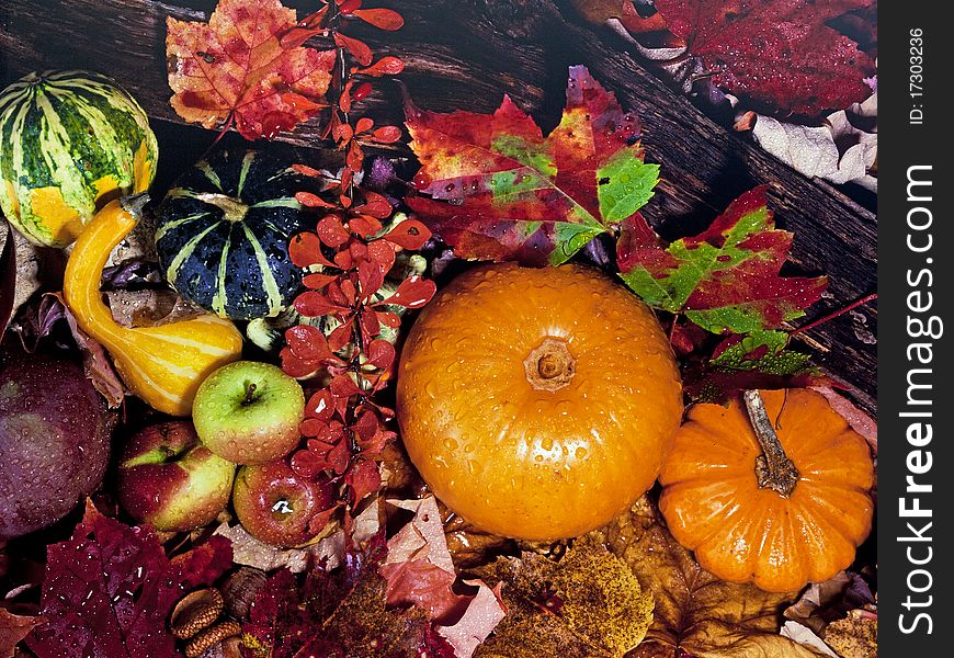 American still life of autumn with pumpkins. American still life of autumn with pumpkins