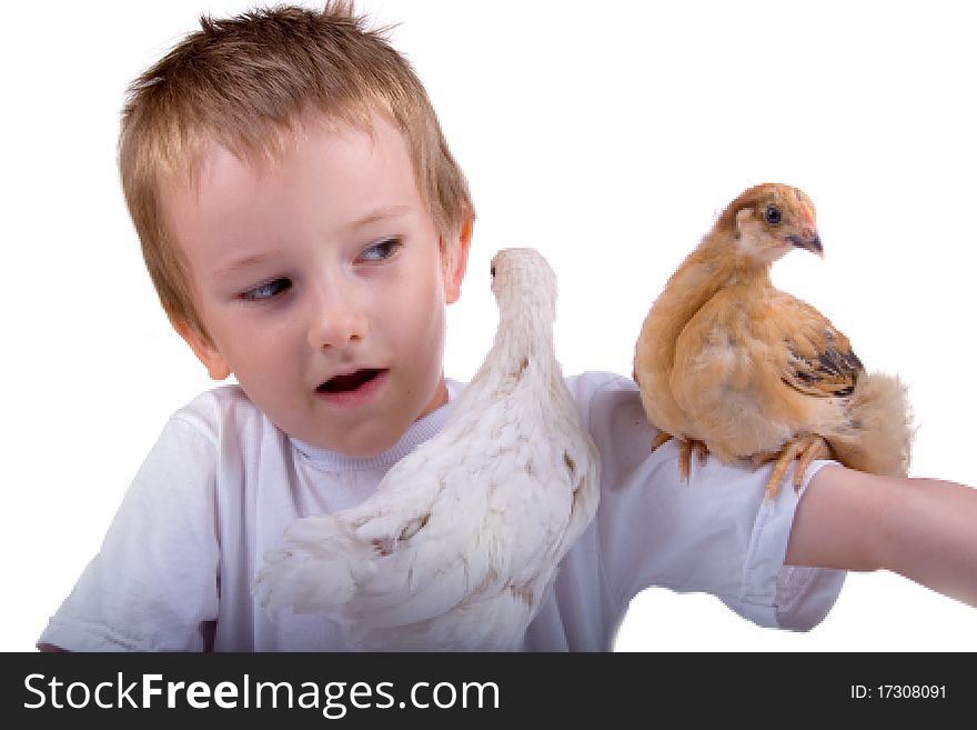 Funny boy with chickens, isolated on a white background