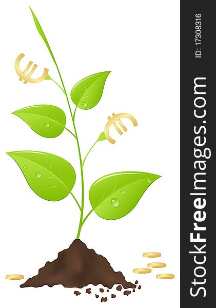 Young tree with leaves in the form of euro. Vector illustration, isolated on a white. Young tree with leaves in the form of euro. Vector illustration, isolated on a white.