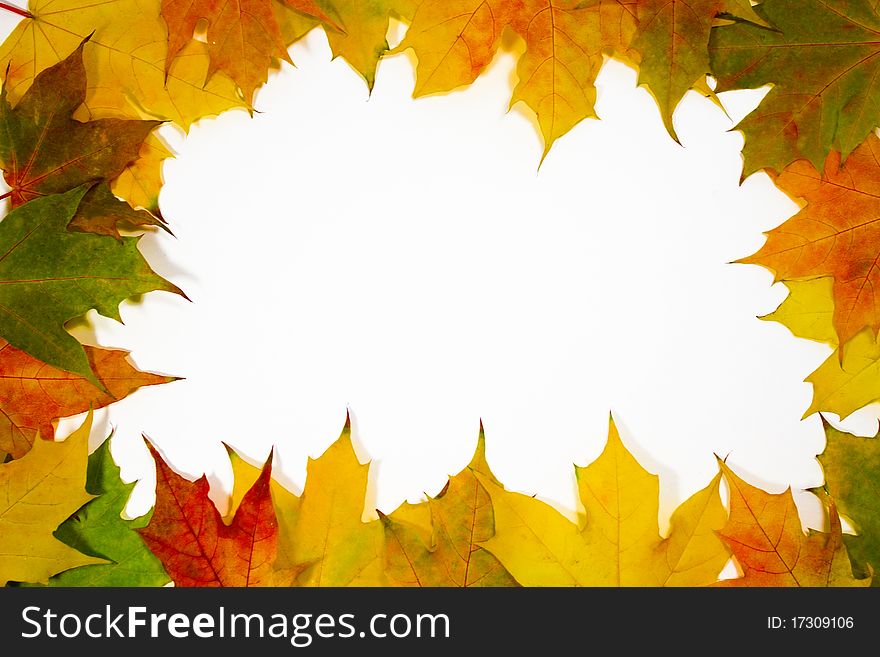 Autumn Frame Leaves