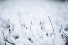 Winter Royalty Free Stock Photography Winter Royalty Free Stock Photography