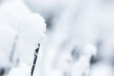 Winter Royalty Free Stock Images
