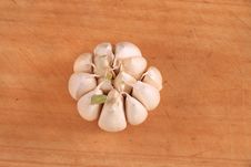 Garlic Stock Image Garlic Stock Image