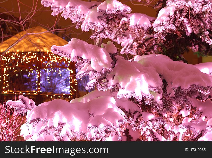 Christmas tree in pink lightining