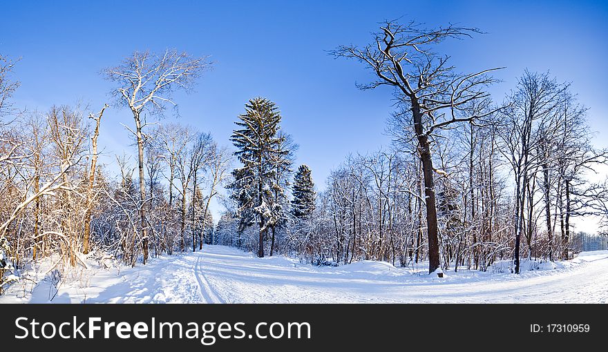 Winter landscape panorama - forest and snow - 32 megapixel