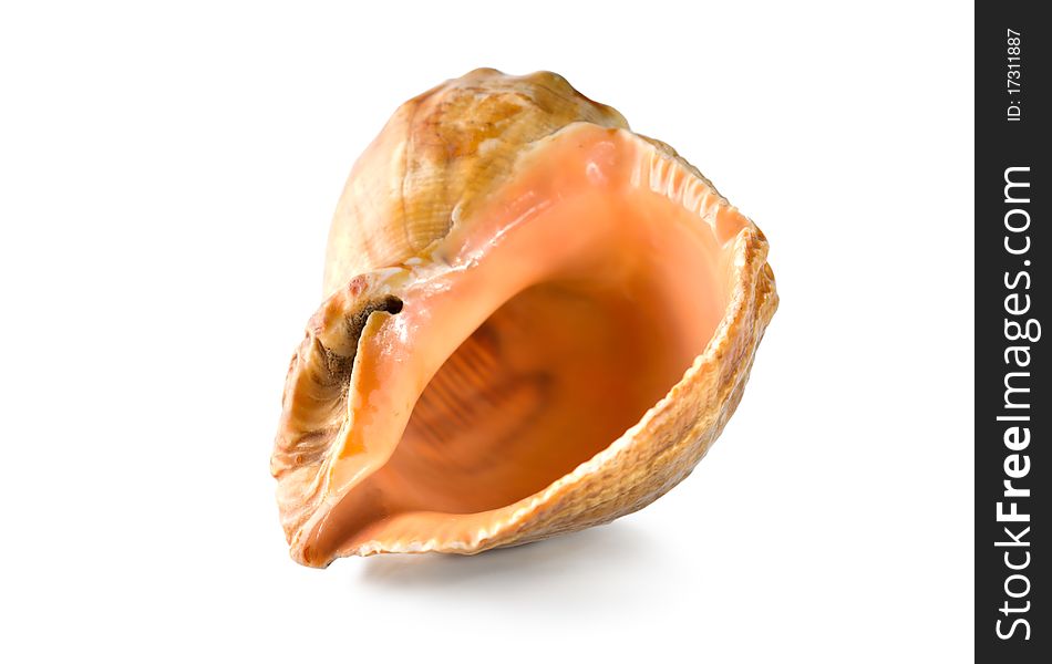 Shell isolated