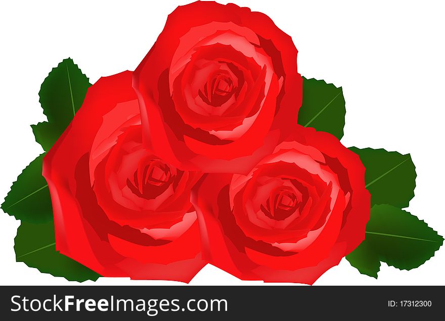 Bouquet of red roses, separately