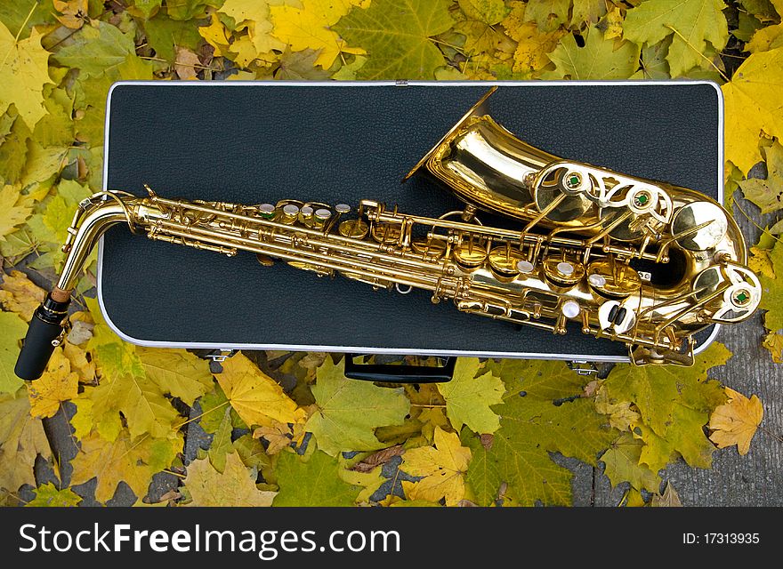 Sax with case on the background fall leaves. Autumn Blues. Sax with case on the background fall leaves. Autumn Blues
