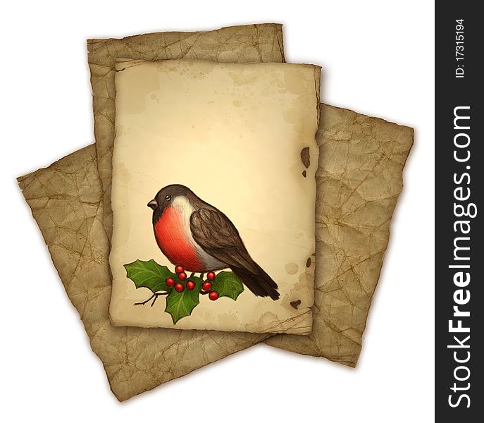 Christmas greeting card with drawing of bullfinch and holly