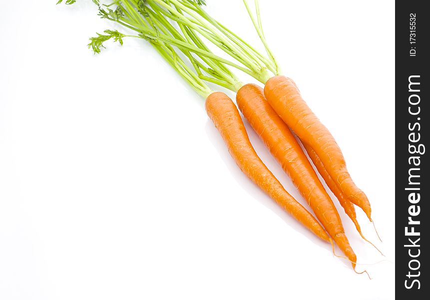Close up of an organic bunch of carrots, isolated on white background.