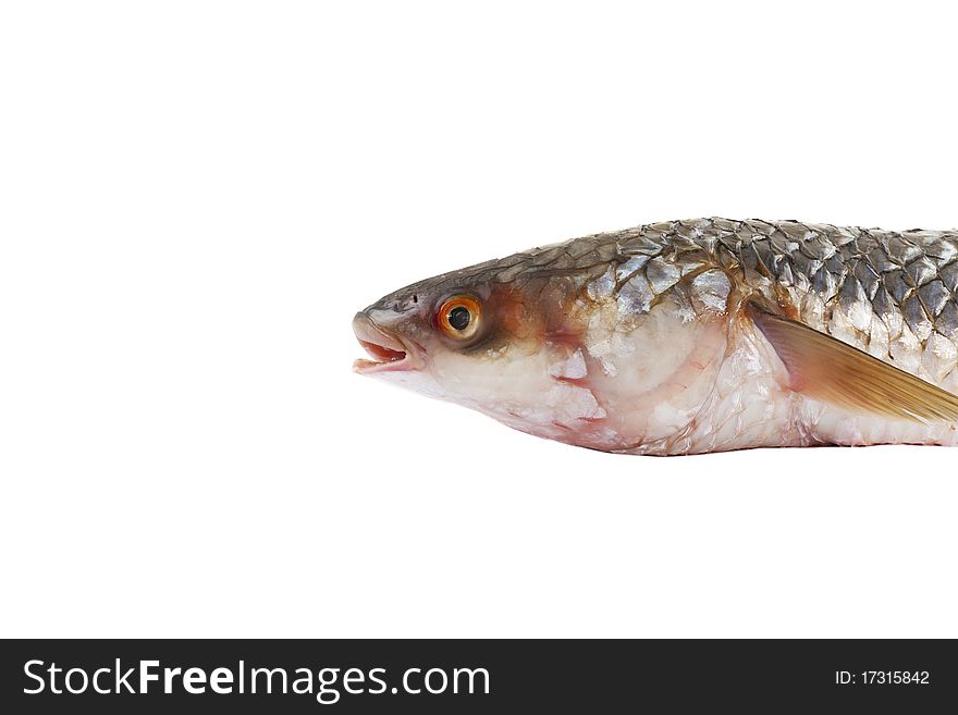 Raw Fish Isolated On White Background